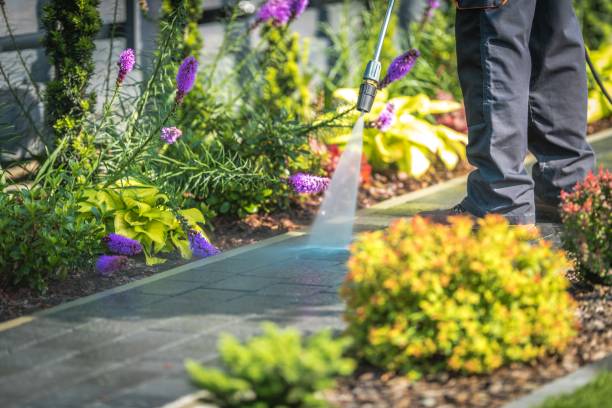 Best Winterizing Services  in Waawa, HI