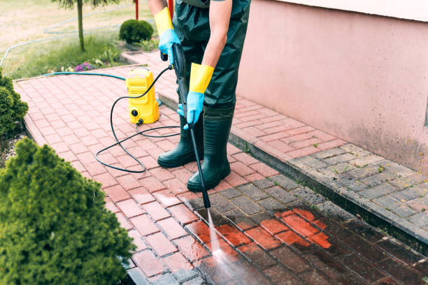Best Sidewalk and Walkway Cleaning  in Waawa, HI